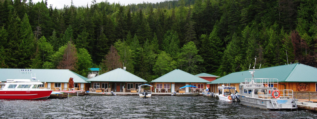 The Kingdom of the Grizzly - Knight Inlet Lodge - 4 Days / 3 Nights